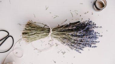 aromatherapy beats the winter blues