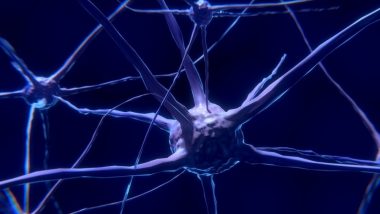 nervous-system-aromatherapy
