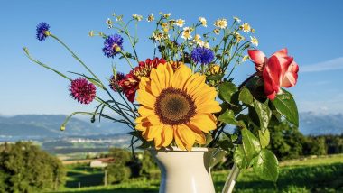 bouquet of flowers