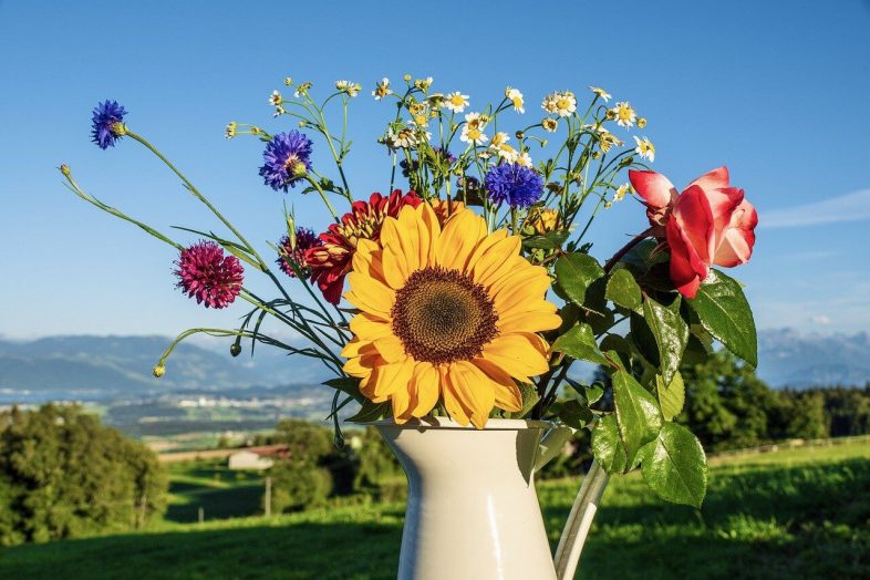 bouquet of flowers